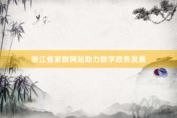 浙江省家数网站助力数字政务发展
